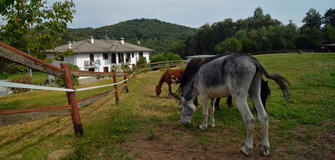 Favetto Family Ranch Bed and Breakfast Rueglio Exteriör bild