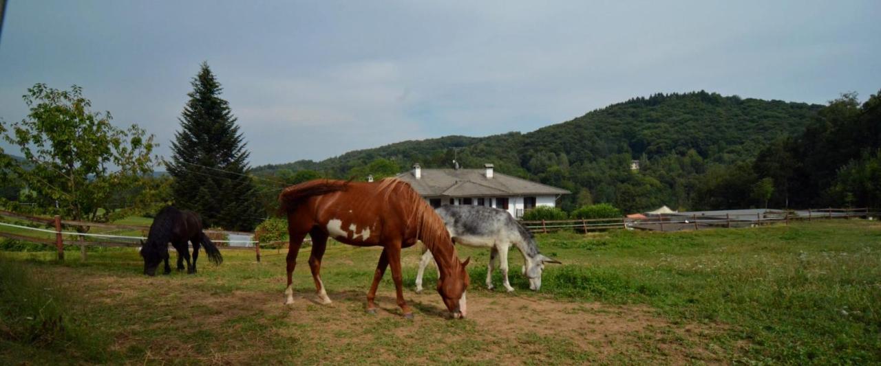 Favetto Family Ranch Bed and Breakfast Rueglio Exteriör bild